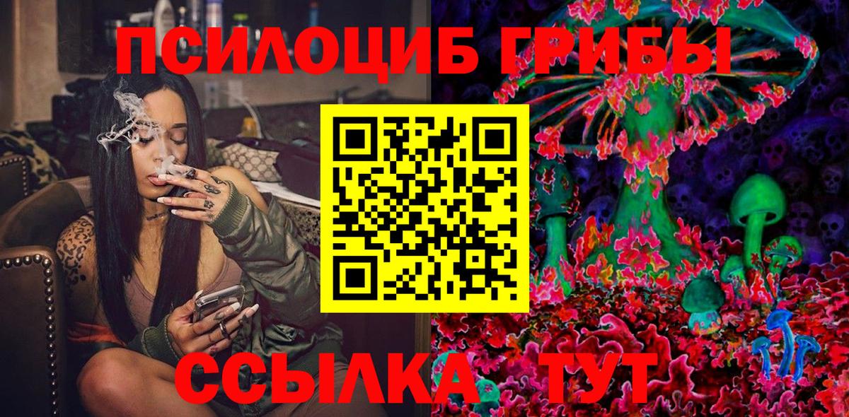 Гагарин  Псилоцибиновые грибы мицелий  Вход с VPN 